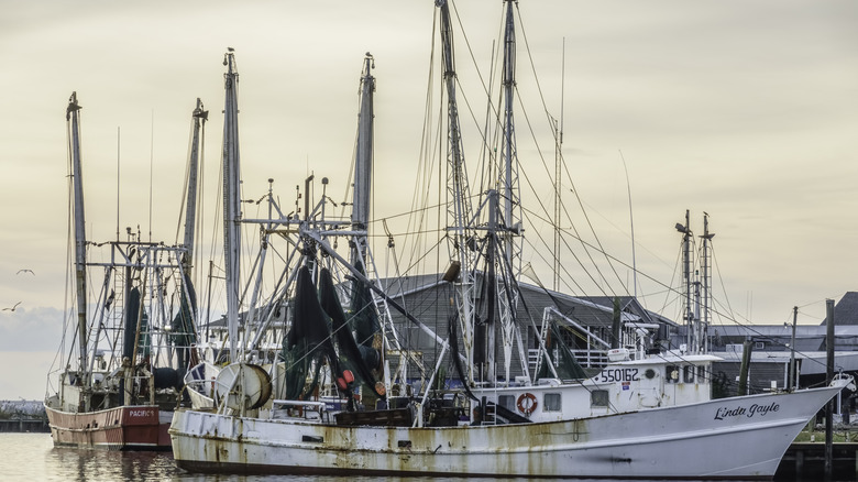 Shrimp boats on Wanchese Island, NC