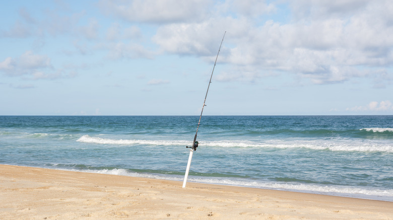 Surf angling on Coquina Beach, North Carolina