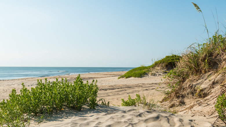 Coquina Beach near Nags Head, North Carolina in the Outer Banks