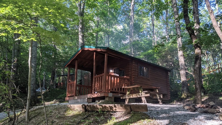 Spacious Skies Campgrounds Bear Den