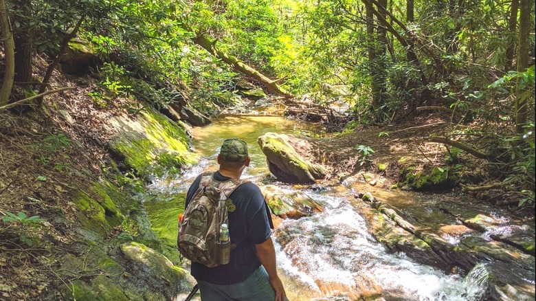 A man hiking near Spacious Skies Campgrounds Bear Den, North Carolina