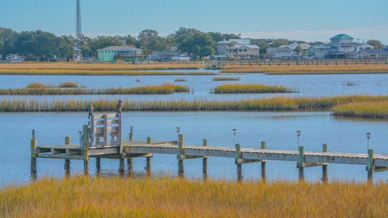 estuary of the White Oak River near Cape Carteret, North Carolina