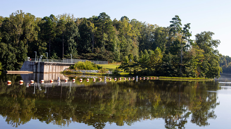 A bright day along the Salem Lake Trail in Winston-Salem, NC