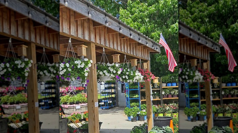 flower displays in Moyock Farm Market, North Carolina