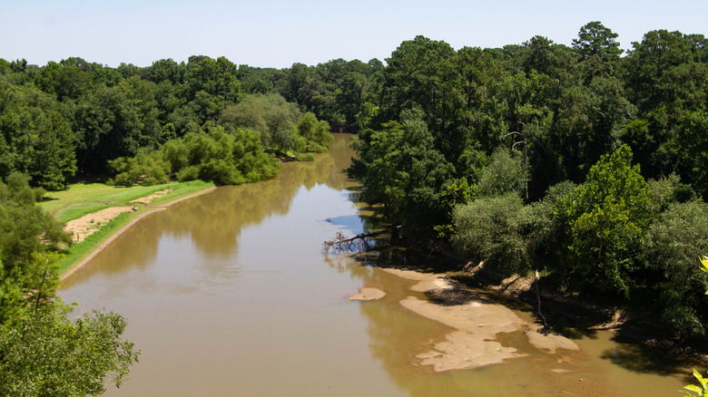 Cliffs of the neuse viewpoint overlooking brown waters of the river