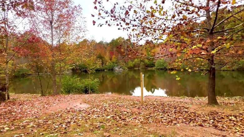 Mayo River State Park in the fall