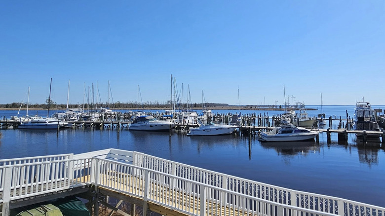 Boats docked in marina in Belhaven, NC.