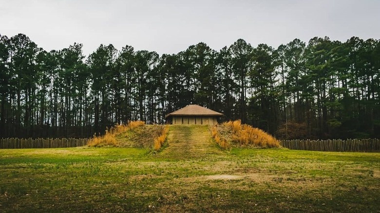 Photo of the Indian Creek Burial Mound
