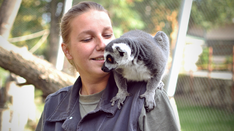 Lemur on a woman's shoulder