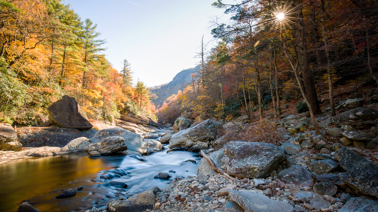 Linville River surrounded by fall foliage, North Carolina