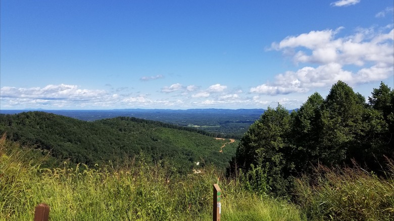 Mountain vista with green hills covered in dense vegetation at Rendezvous Mountain State Park, North Carolina
