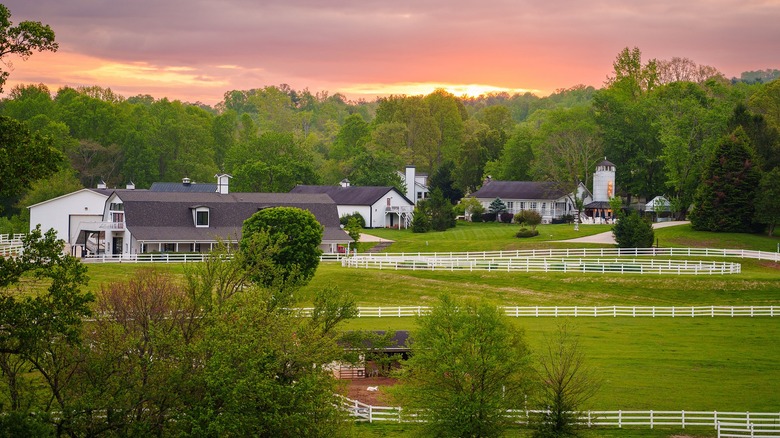The Horse Shoe Farm silo and buildings and livestock yards at sunset with moody skies