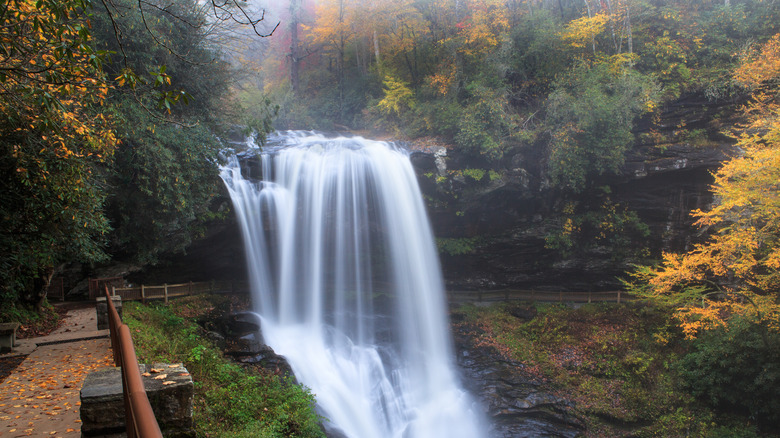 Fall foliage around North Carolina's Dry Falls with a surrounding path allowing visitors to walk behind the waterfall