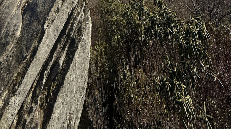 The Rough Ridge Overlook in winter on the Blue Ridge Parkway