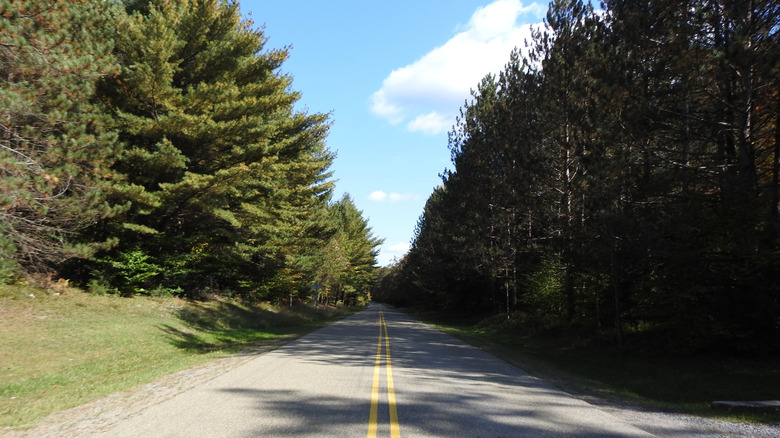 The scenic beauty of the Quehanna Highway, Pennsylvania state route 555, that runs through both the Moshannon and Elk State Forests