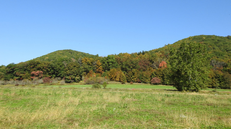 The natural beauty of the Hick's Run Wildlife Viewing Area, during the autumn season, Elk State Forest, Cameron County, Pennsylvania