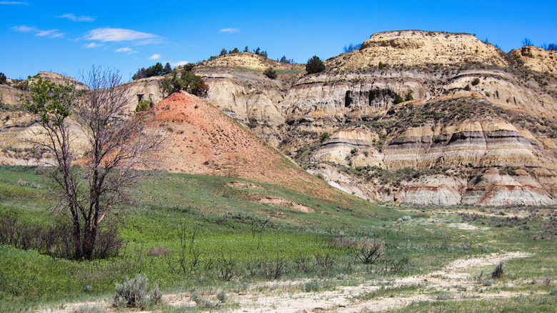 North Dakota National Park