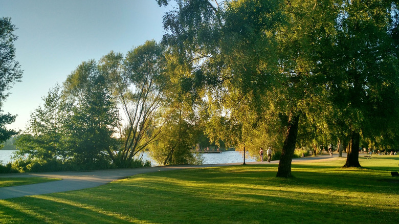 The Green Lake Trail along the edge of Green Lake in Green Lake Park in Seattle, Washington