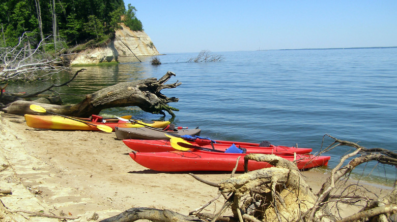Red and yellow kayaks moored on the sands at Fossil Beach in Virginia