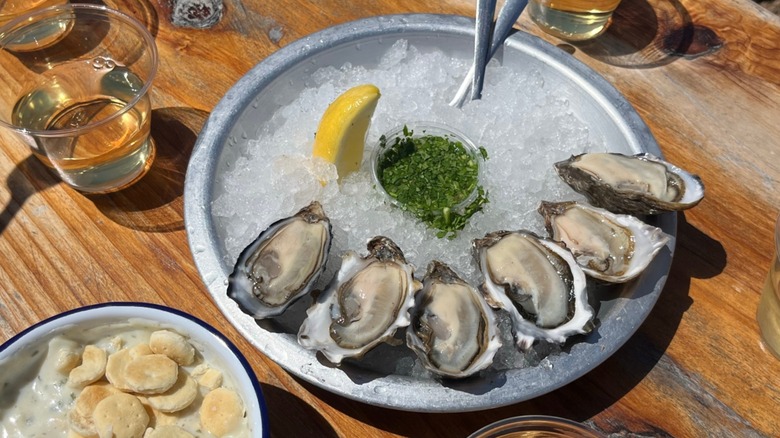Plate of oysters and bowl of clam chowder