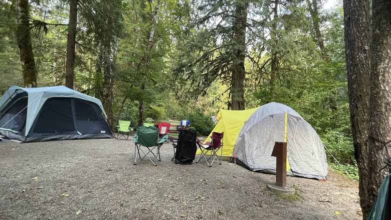 tents in campsite, Alice Lake Provincial Park, Canada
