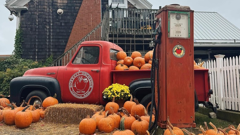 Antique pickup with pumpkins at Russell Orchards and Winery in Ipswich, MA
