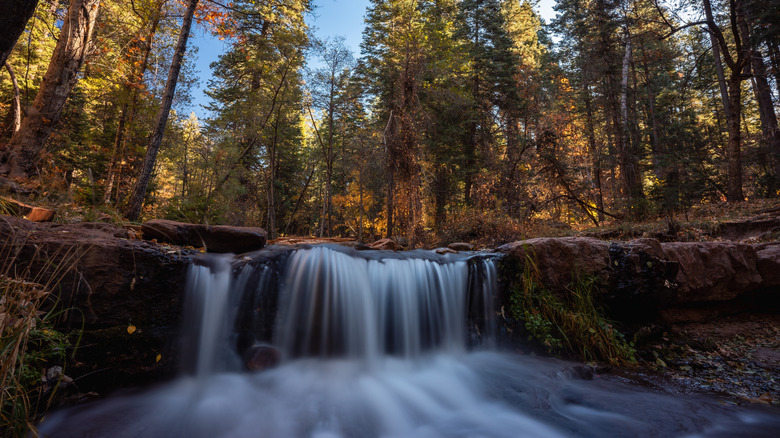 A waterfall along Horton Creek at Arizona's Mogollon Rim