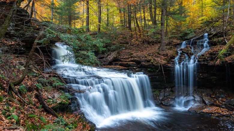 Fast flowing water in Ricketts Glen State Park, Pennsylvania