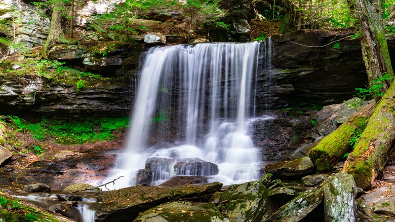 Lush waterfall surrounded by rocks and vegetation at Ricketts Glen State Park in Pennsylvania