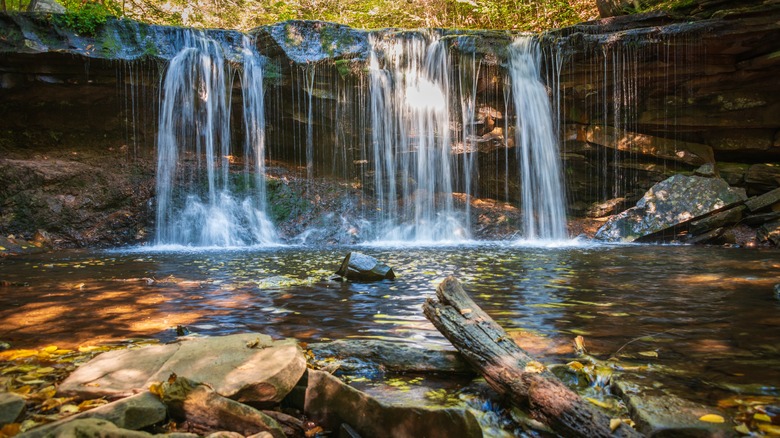 Lush waterfall plunging into a pool at Ricketts Glen State Park in Pennsylvania