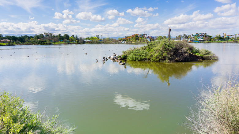 Horizon view of Lake Cunningham with waterpark in the background