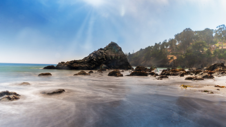 Coastal scenery near Muir Beach, California