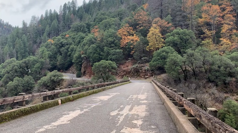 Fenders Ferry Road leading over Pit River toward forest