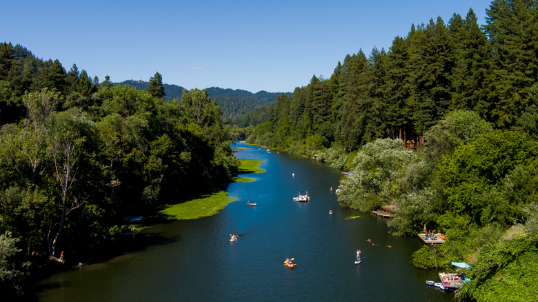 People enjoying water sports on the Russian River in Guerneville, California