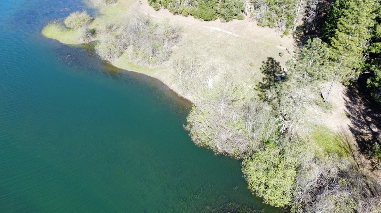 Boy Scout Cove Camp tucked into Ruth Lake