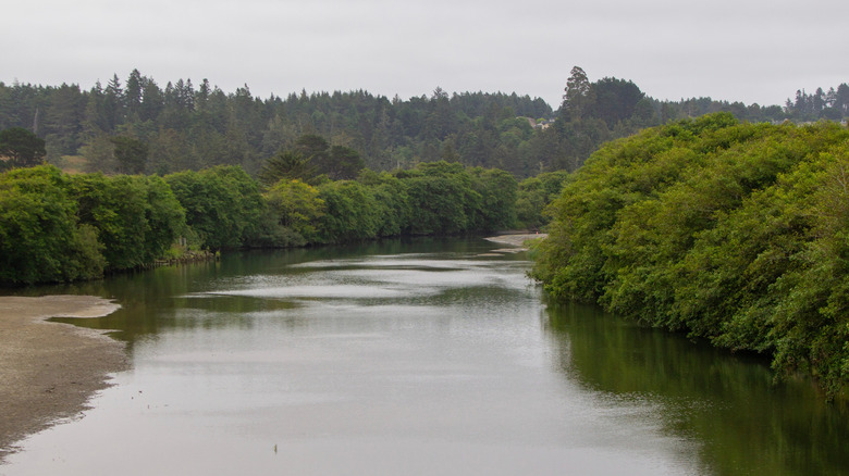 Mad River winds through California