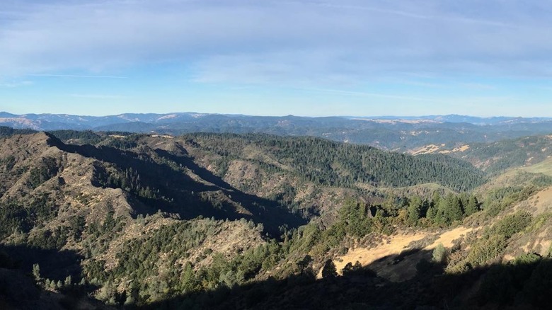 Ruth hides in Northern California mountains