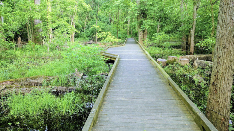 trail in Wegerzyn Gardens MetroPark, Dayton, Ohio