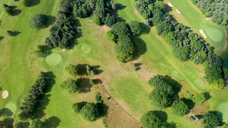 Evergreen Resort golf greens and forests