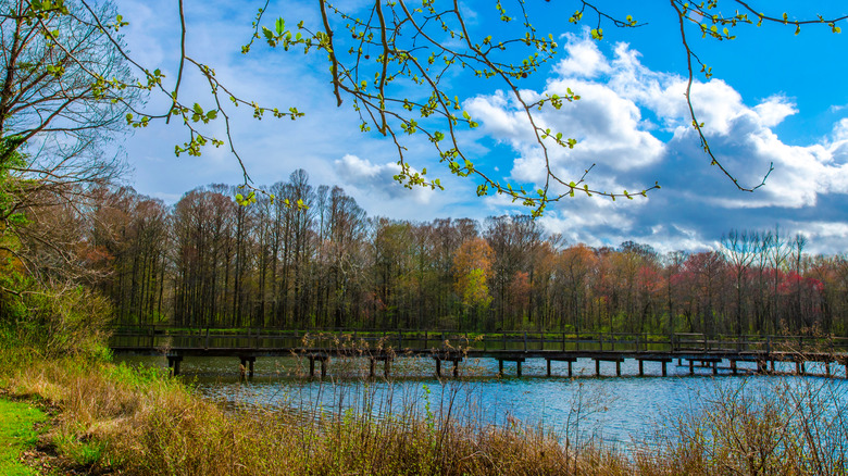 Wall Doxey State Park in Holly Springs, Mississippi