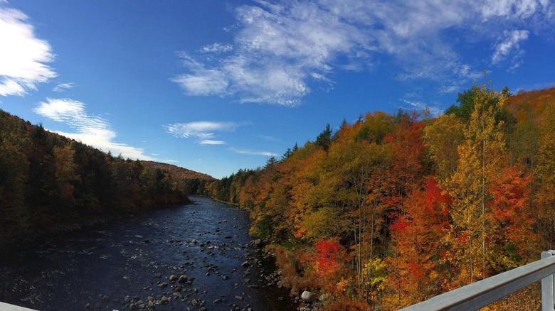A wide shot of a river taken from a bridge overpass with autumnal colored trees lining the sides of the water