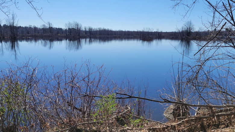 A wide shot of the Raquette River on a clear day