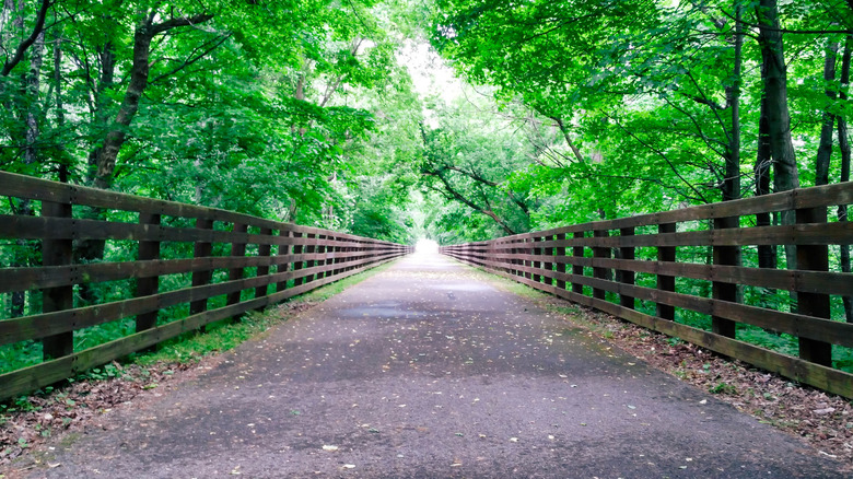 A bridge at the North Coast Inland Trail