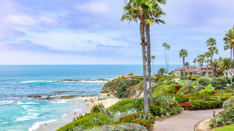A white sand beach with palm trees on the bluff and a deep blue sea in Laguna Beach, California