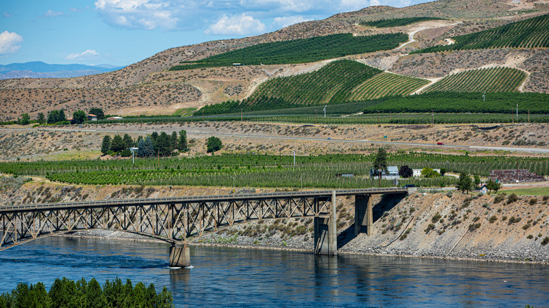 Bridge at Bridgeport State Park in Washington state