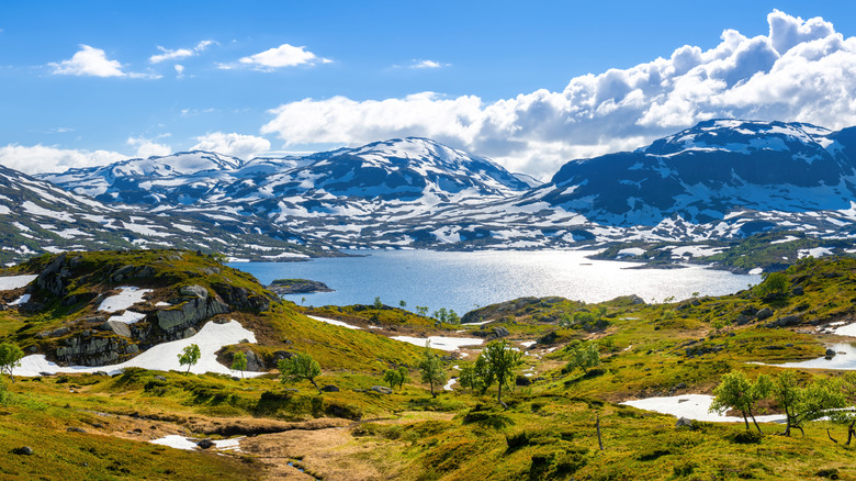 Green landscapes, blue skies, and snow-covered mountains in Hardangervidda National Park, Norway