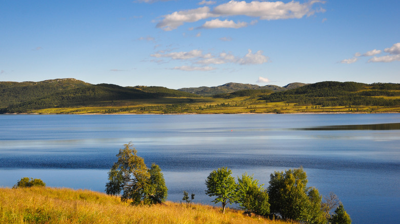 clear skies by the lake in Hardangervidda National Park, Norway