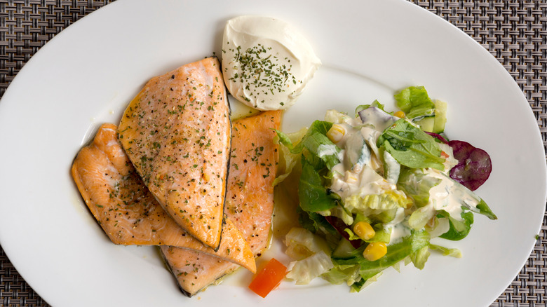 Salmon and salad on a white plate