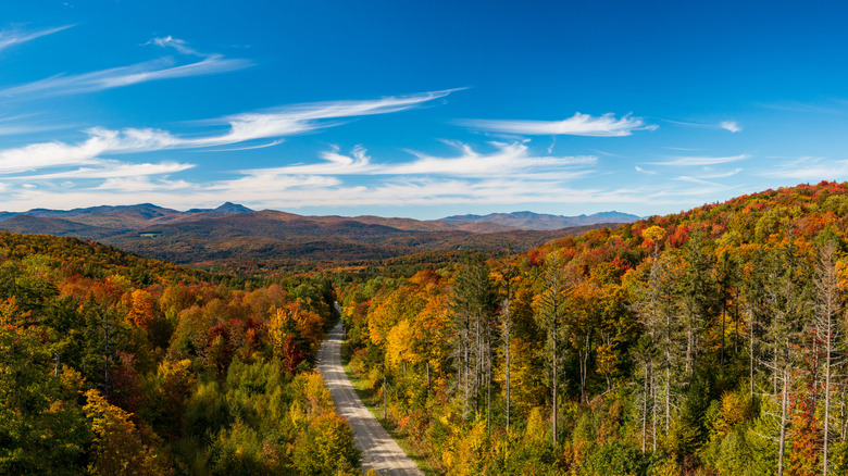 a road in Vermont surrounded by fall foliage as it cuts through dense forests