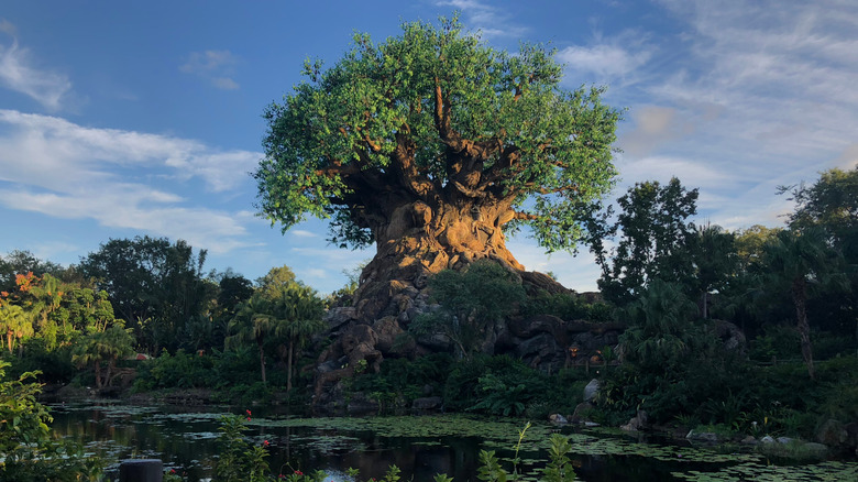 Tree of Life and pond in the Animal Kingdom park of Walt Disney World Resort